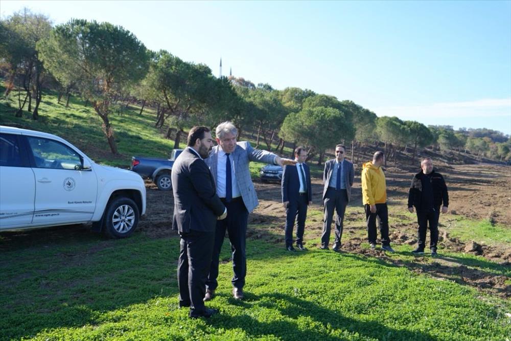 Our University's Coastal Area is Being Transformed into a Modern Residential Village