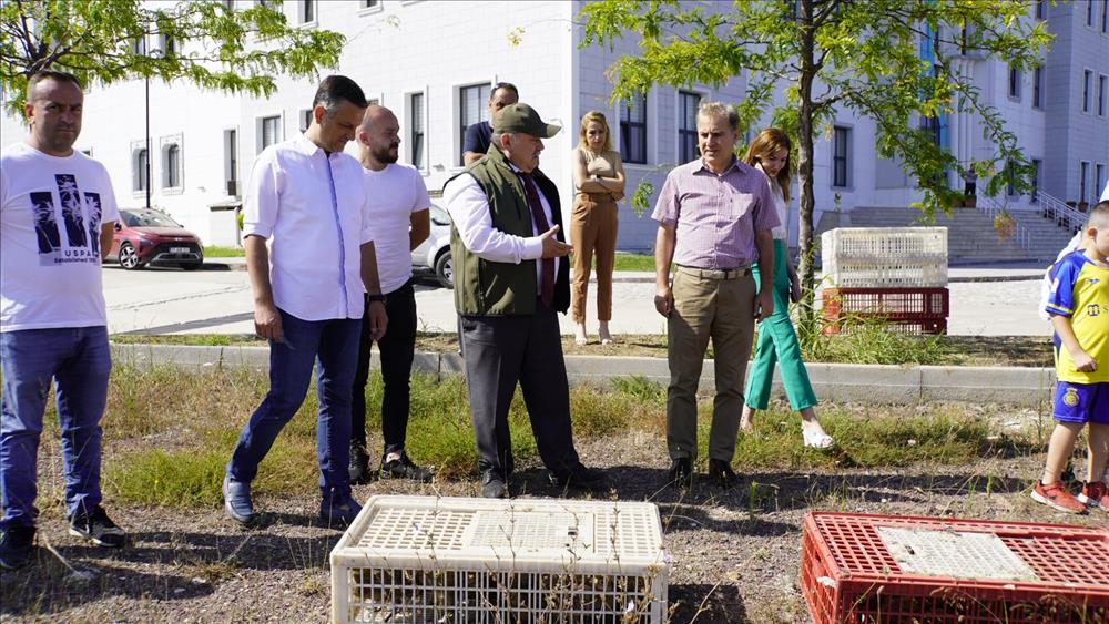 Üniversitemizde 100 Adet Sülün Doğaya Salındı